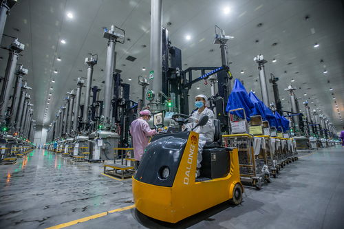 三年產(chǎn)值增長10倍 中國綠色硅谷強(qiáng)勢(shì)崛起丨新型工業(yè)化市州行樂山