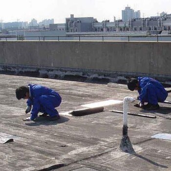 東莞道滘房屋滲漏治理 專業(yè)防水補(bǔ)漏工程解決方案